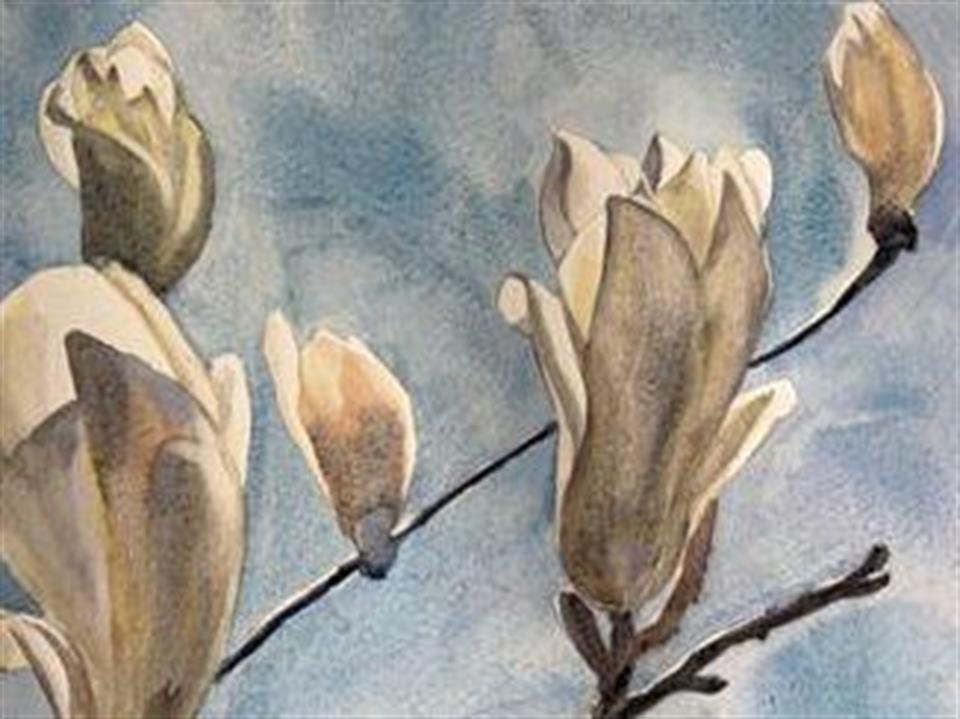 /Portals/39/NADevEventsImages/spring-flowers t3.26_480.jpg